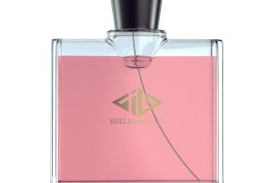 New Creative Electroplating Perfume Bottle (4)